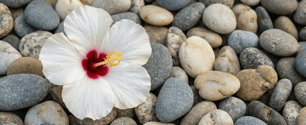 What to expect in your first trauma therapy session